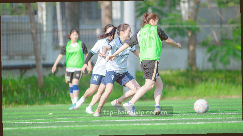 会员权益专题封面：盾形轮廓与金色钥匙图形叠加